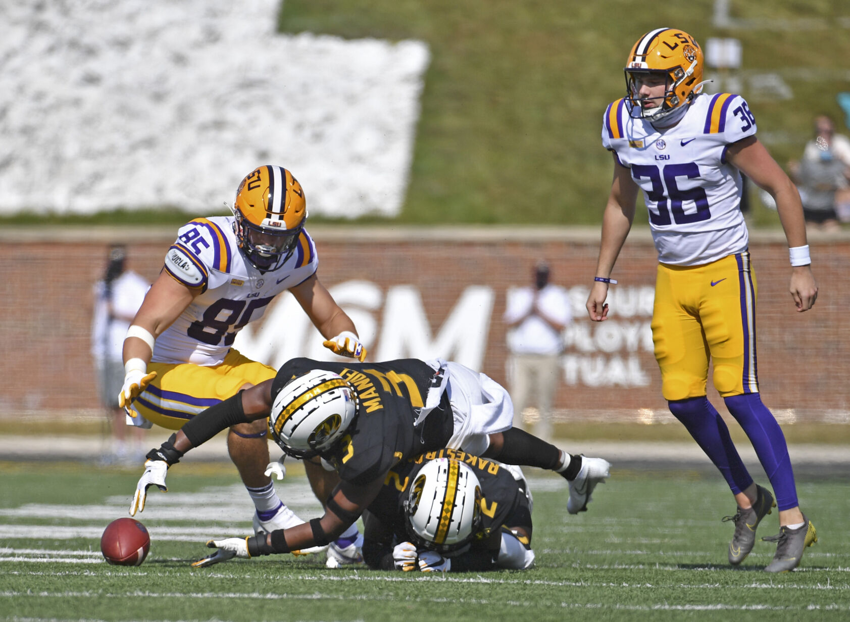 BR.missourilsu.101120 HS 2698.JPG